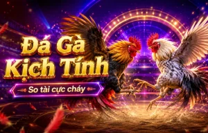 Sảnh Đá Gà quintapepereina